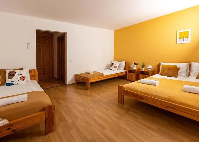 Berkenye Vendeghaz Pensionat 4*